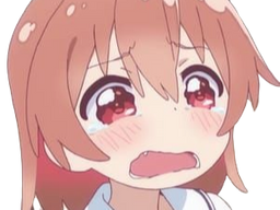 :kj-larme: