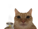 :cafe_chat: