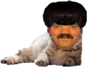:risichat_: