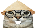 :CS_Chinois: