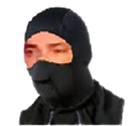 :ninja: