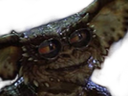 :Gremlin: