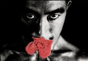 :mishima: