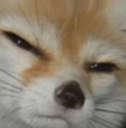 :meeehh: