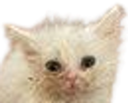 :chat_zinzolax: