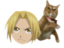 :Chat_claque_Edward: