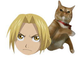 :Chat_claque_Edward:
