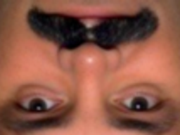 :face_risitas_inverse: