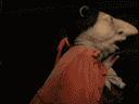 :marquis: