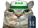 :CS_RSA: