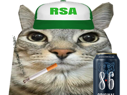:CS_RSA: