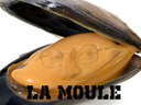 :moule_larry: