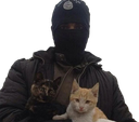 :gatito: