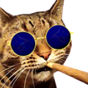 Potichaton