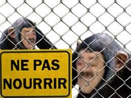 :Ne_pas_feed: