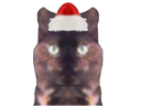:catsym: