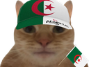 :ChatDZ: