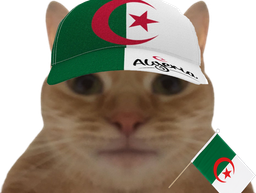 :ChatDZ: