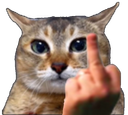 :Chahonor: