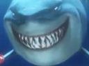 :requin_gang_nemo:
