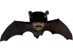 :chauve_souris: