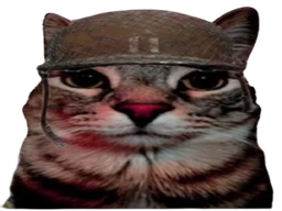 :CS_Soldat: