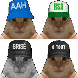 :famille-chats-0tout: