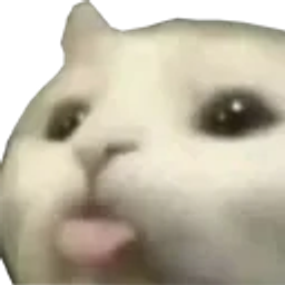 :chasoif: