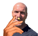 :Zidane_fume_2025: