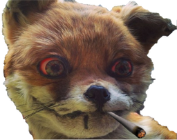 :renard_defonce: