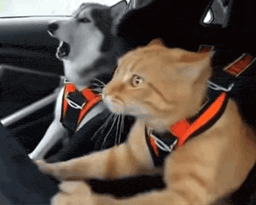:Fast_and_furious: