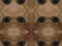 :chatmosaique: