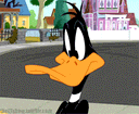 :daffy_doute: