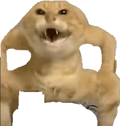 :Chat_sumo_danse: