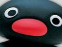 :Pingu_zoom: