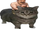 :Monture: