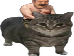 :Monture: