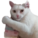 :Chat_fric: