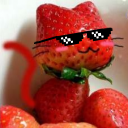 :CatoFraiz: