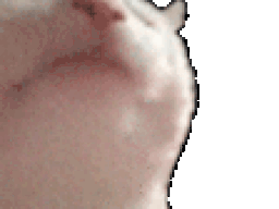 :chat_musique: