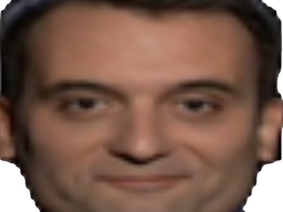 :philippot_zoom:
