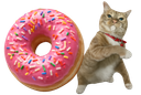 :chadon: