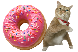 :chadon: