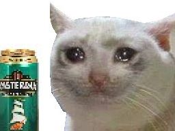 :chat_pleur_biere: