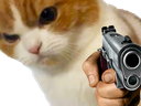 :chatg: