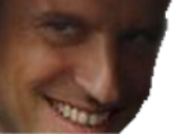 :MacronZoomTroll: