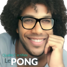 :pingpong: