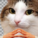 :Chat_main_jointes: