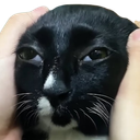 :chat_blazzzer: