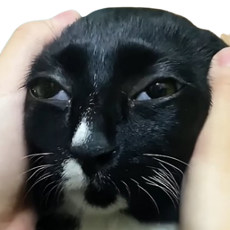 :chat_blazzzer: